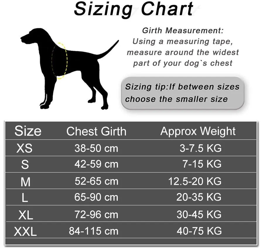 Adjustable Reflective Dog Harness Vest for Outdoor Walking Small to Large Dogs