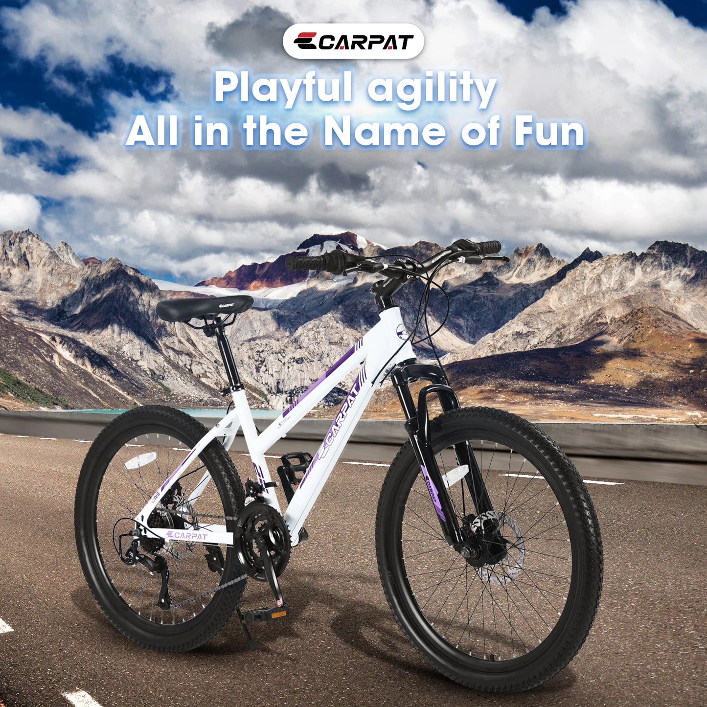 24 Inch Mountain Bike for Girls and Women with Shimano 21 Speeds and Disc Brakes