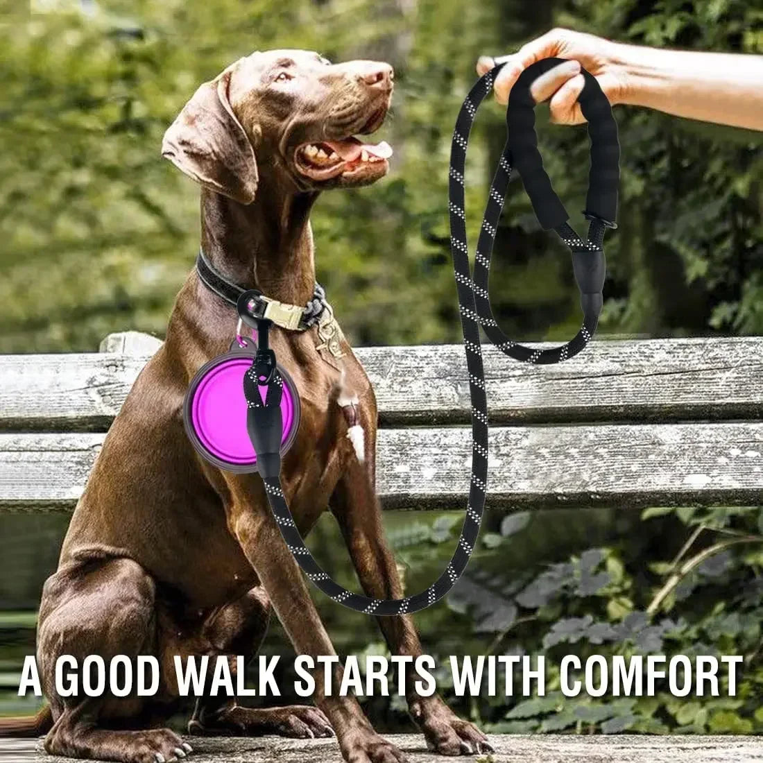 Strong Reflective Dog Leash for Large Medium Small Breeds Perfect for Walks