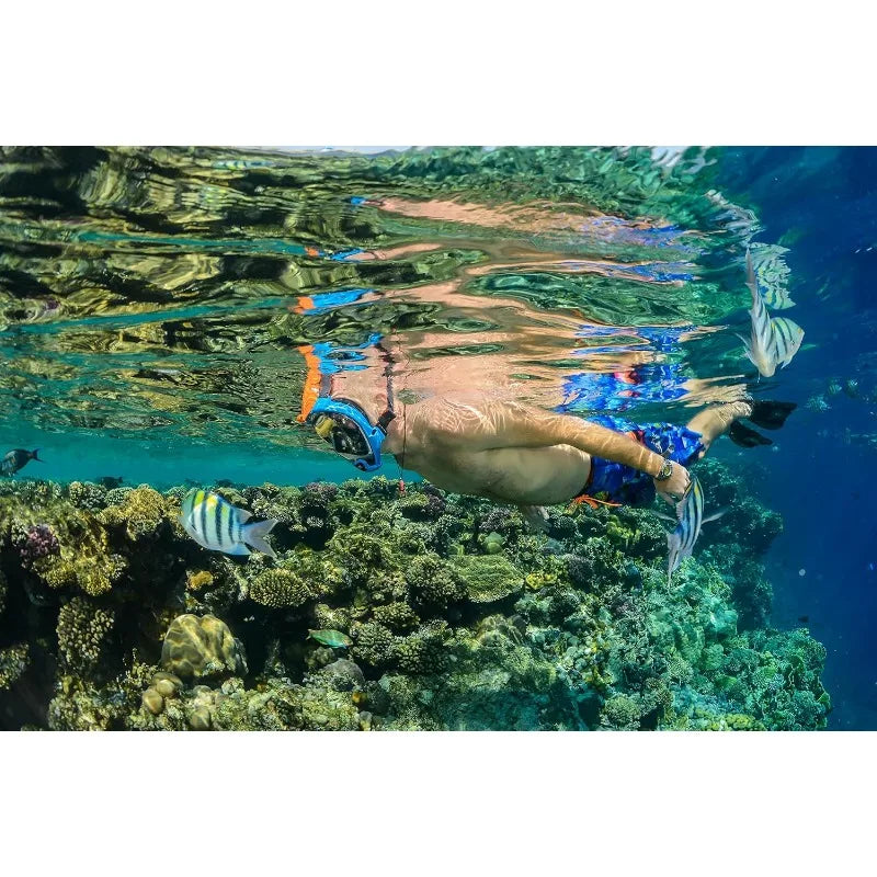 Ocean Reef Aria QR Quick Release Full Face Snorkeling Mask with 180 Degree Vision